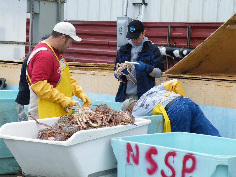 Bering Strait 1 053.jpg